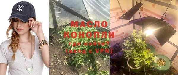 крисы Баксан