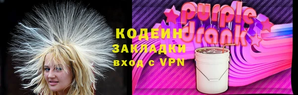 крисы Баксан
