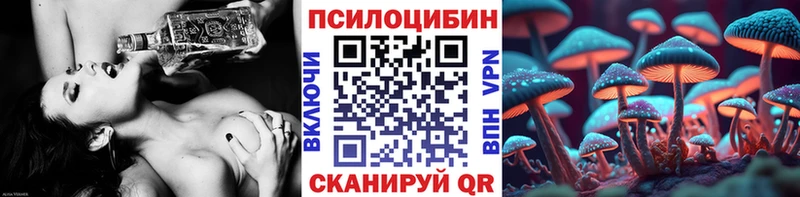 kraken как войти Красный Холм Галлюциногенные грибы мицелий